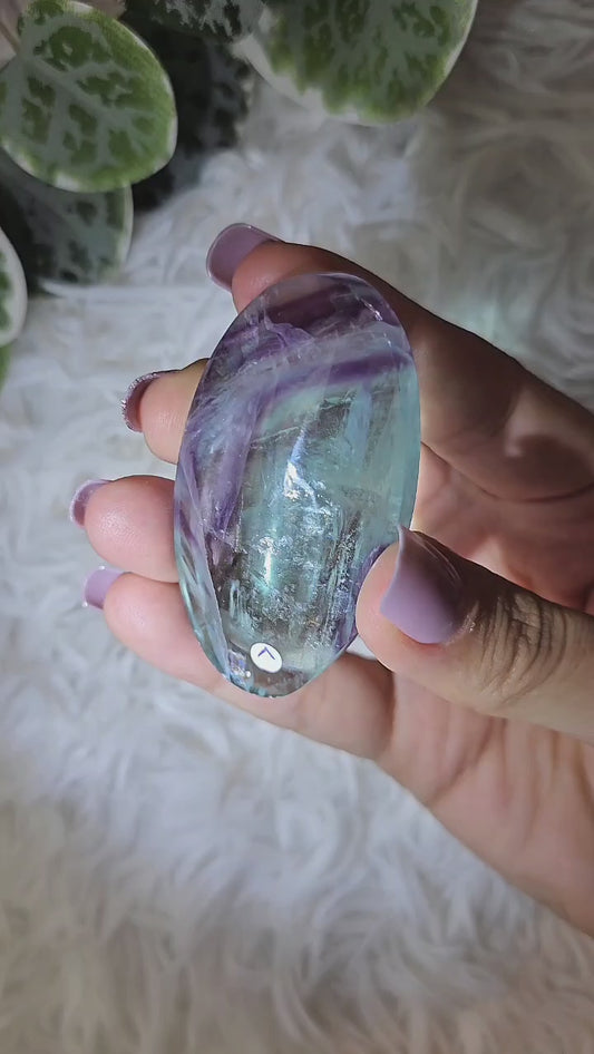 Fluorite Palm L - MAS1094