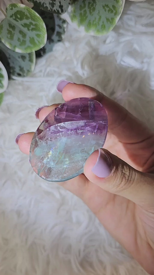 Fluorite Palm H - MAS1090