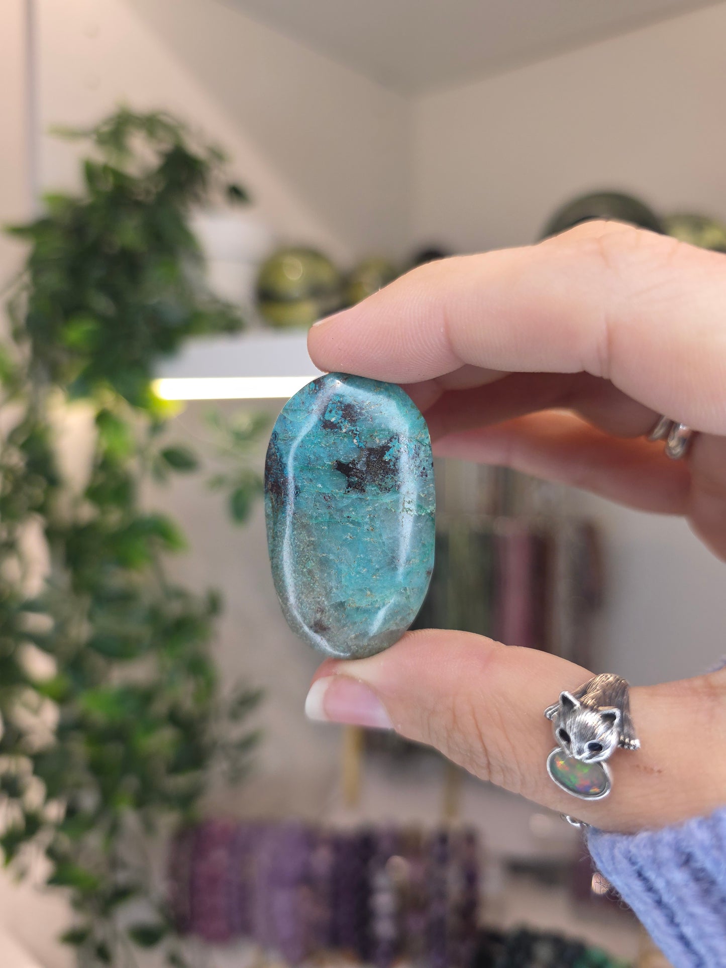 Shattuckite Palms