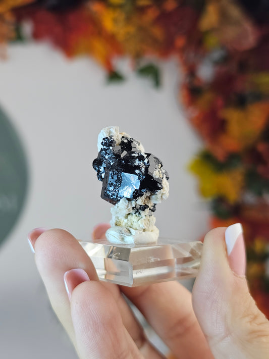 Black Tourmaline C from Namibia - MAS1681