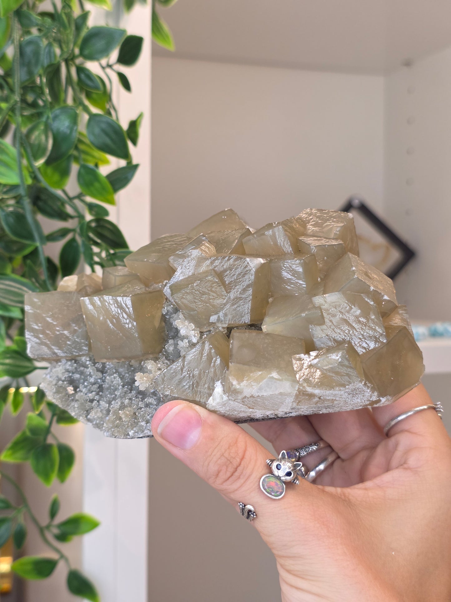 Honey Calcite Cubes on Druzy Sugar Calcite and Stilbite Matrix from Madhya Pradesh, India - AM