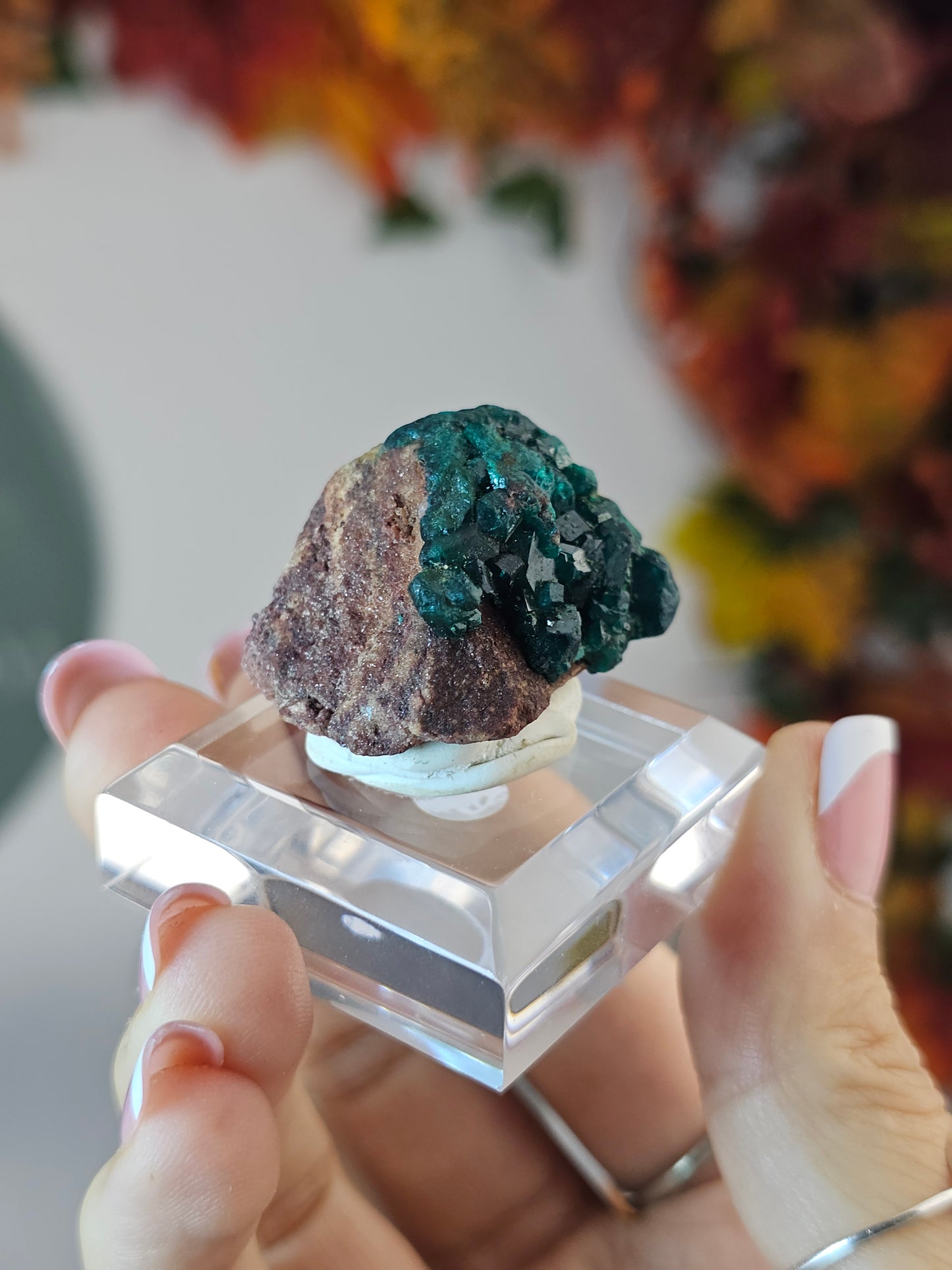 Dioptase Specimen B from Namibia - MAS3008
