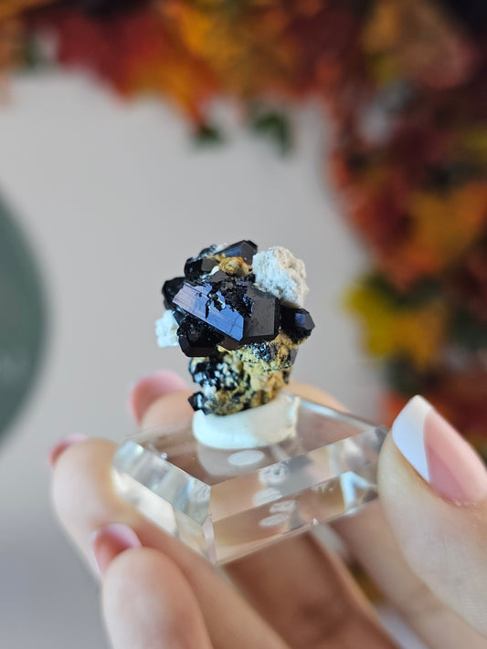 Black Tourmaline B from Namibia - MAS1680