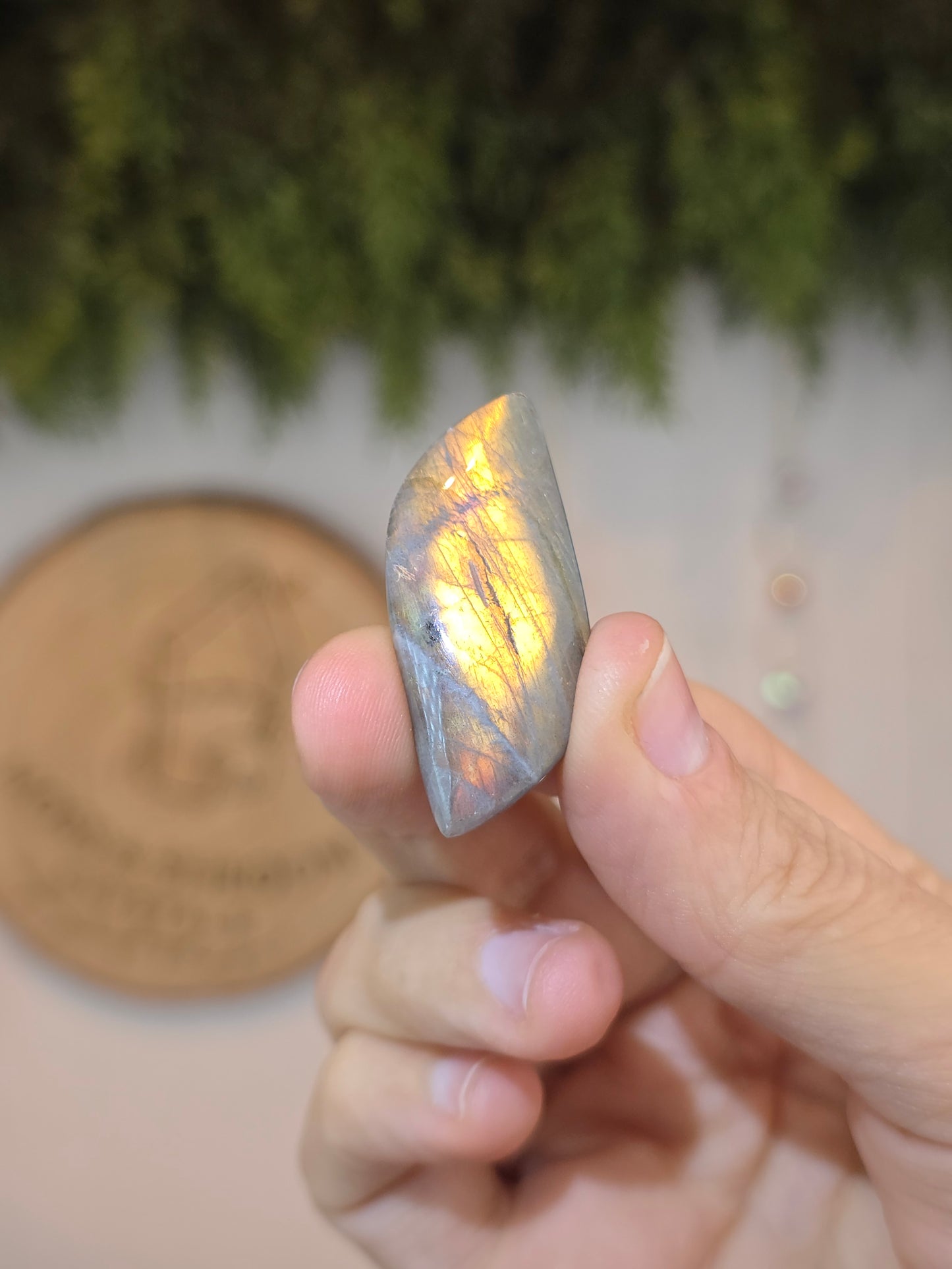 Labradorite Cabachon