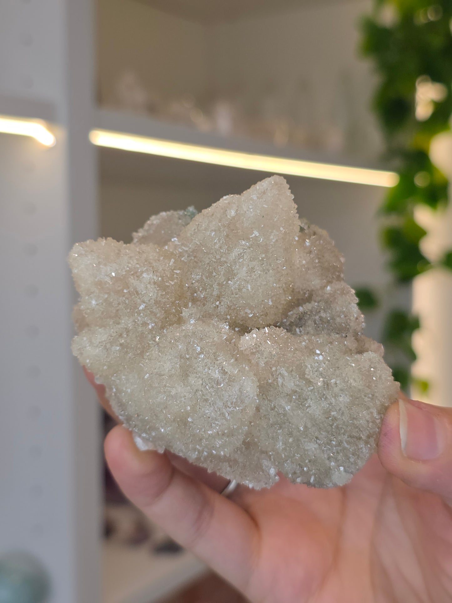 Sugary Dogtooth Calcite with Heulandite and Stilbite from Madhya Pradesh, India - L38