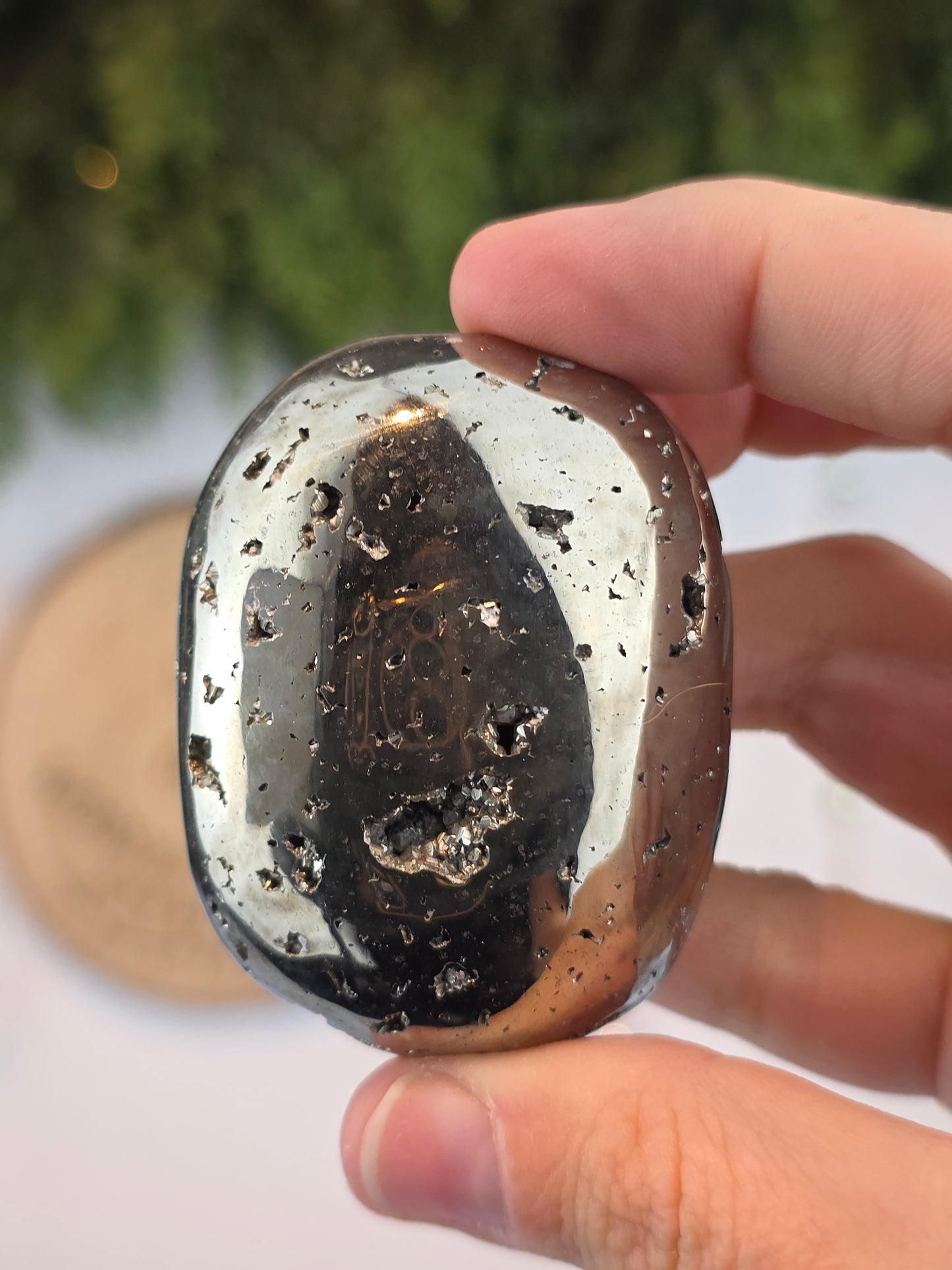 Peruvian Pyrite Palm