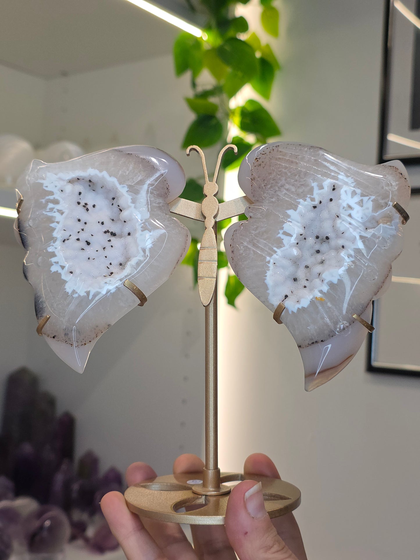 Druzy Agate Butterfly Wings on Stand