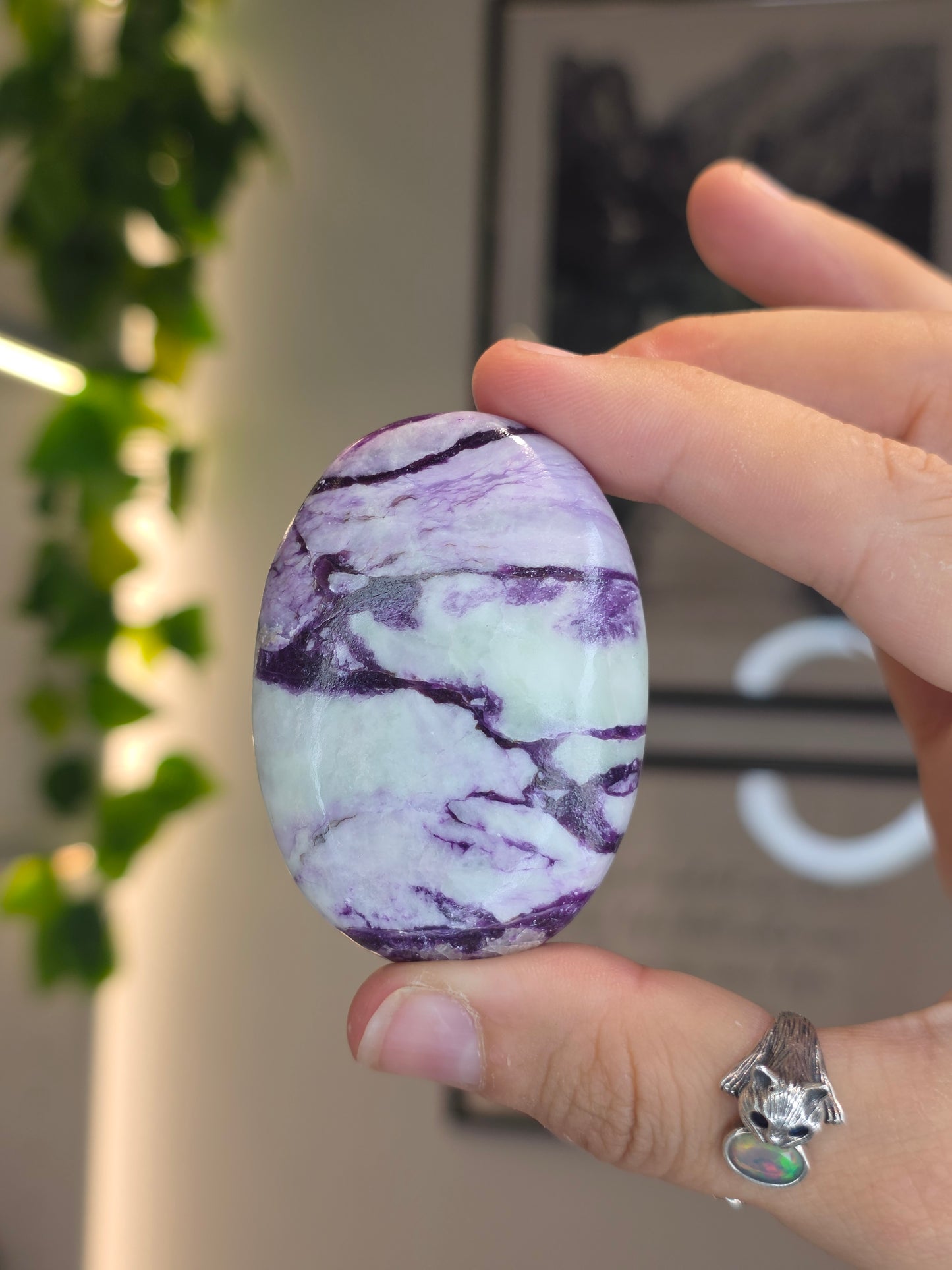 Purple Green Kammererite Palm Stones