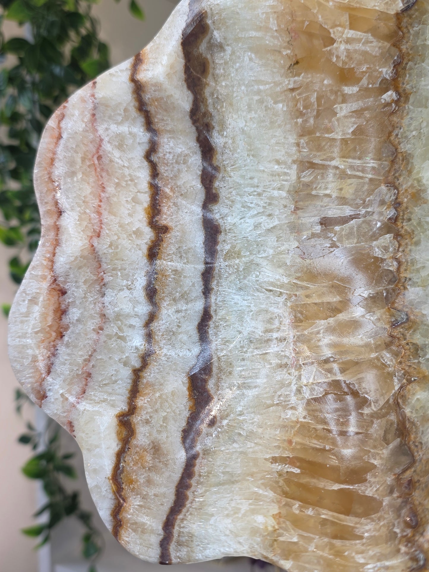 Extra Large Mexican Onyx Freeform Bowl - Green Honey Calcite