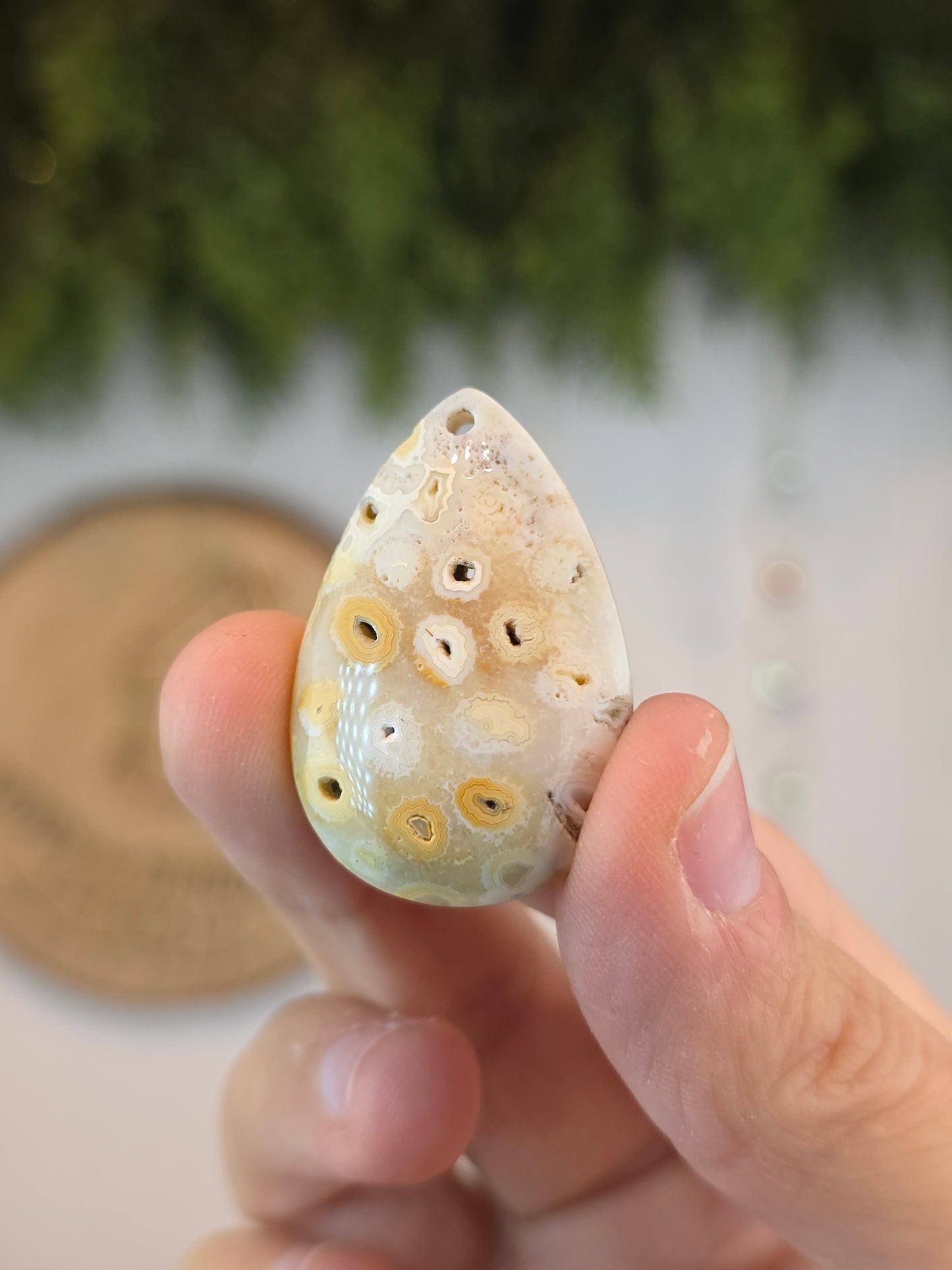 Fossilised Coral Cabachon