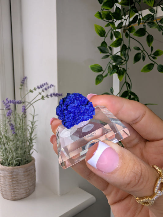 Azurite Rosettes from Morocco