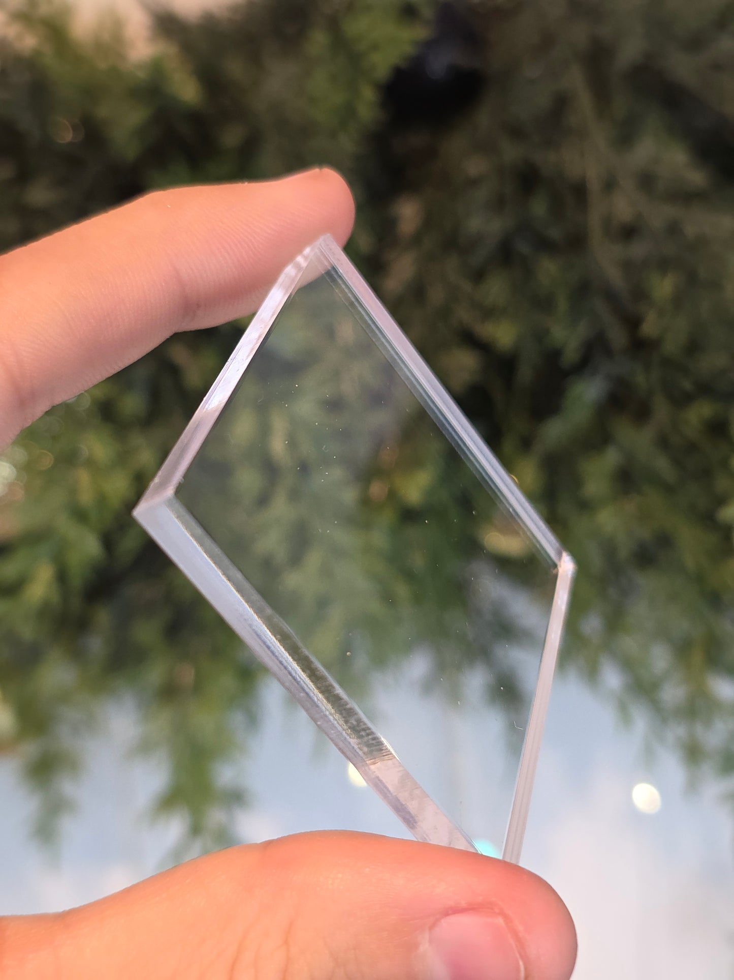 Clear Specimen Bases - MAS6057