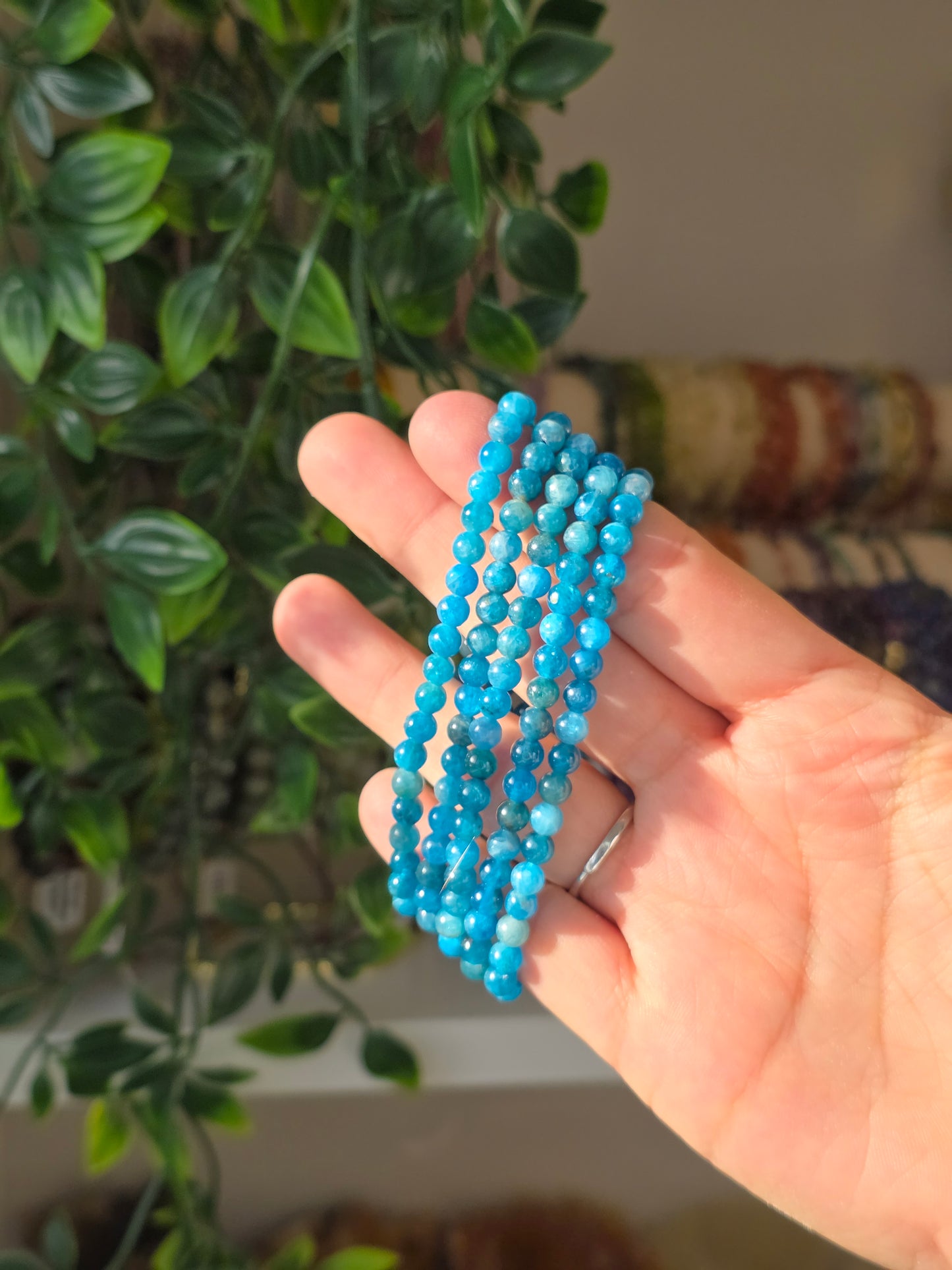 Apatite - Round Bead Bracelet 5mm