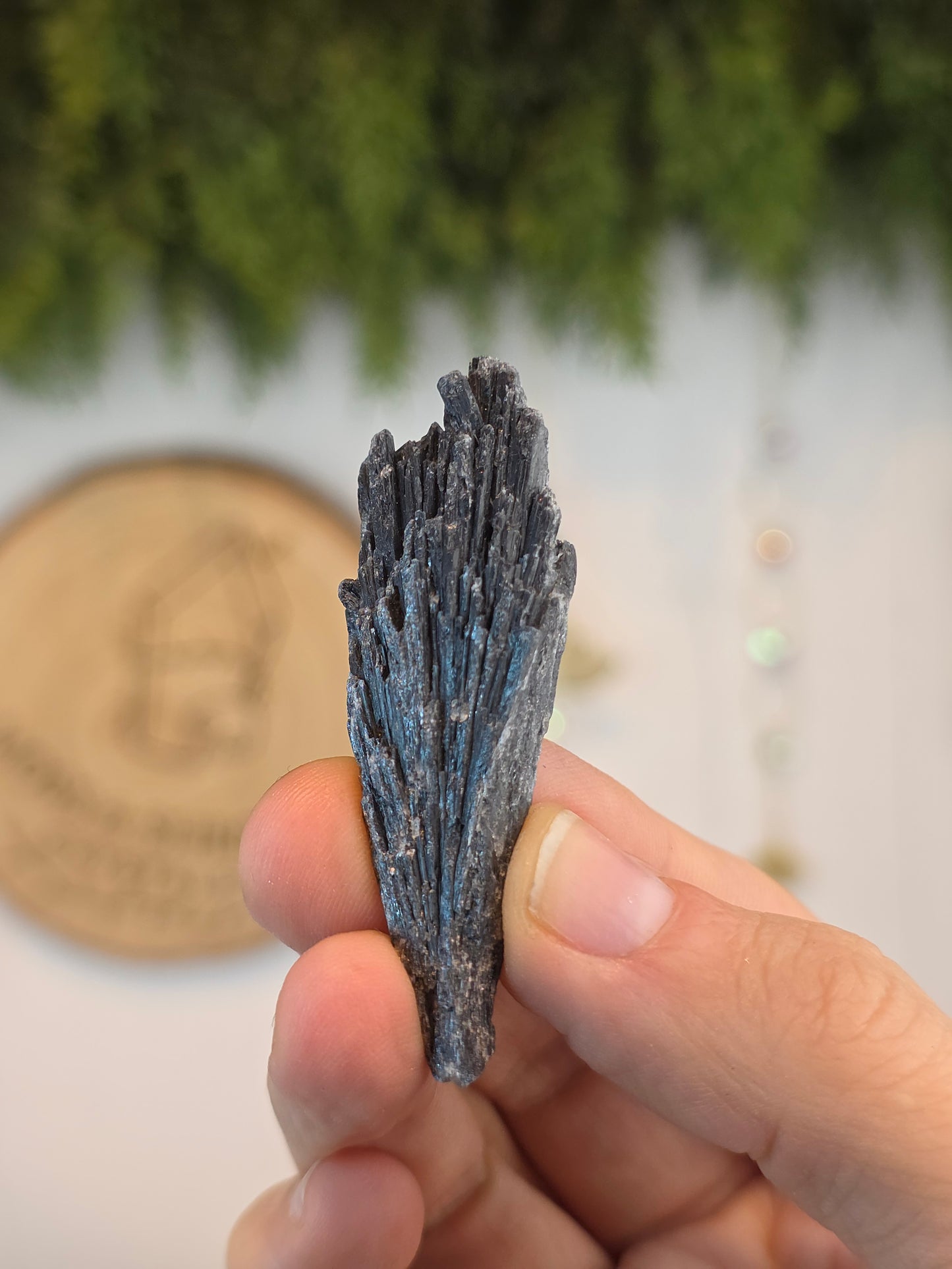Brazilian Black Kyanite
