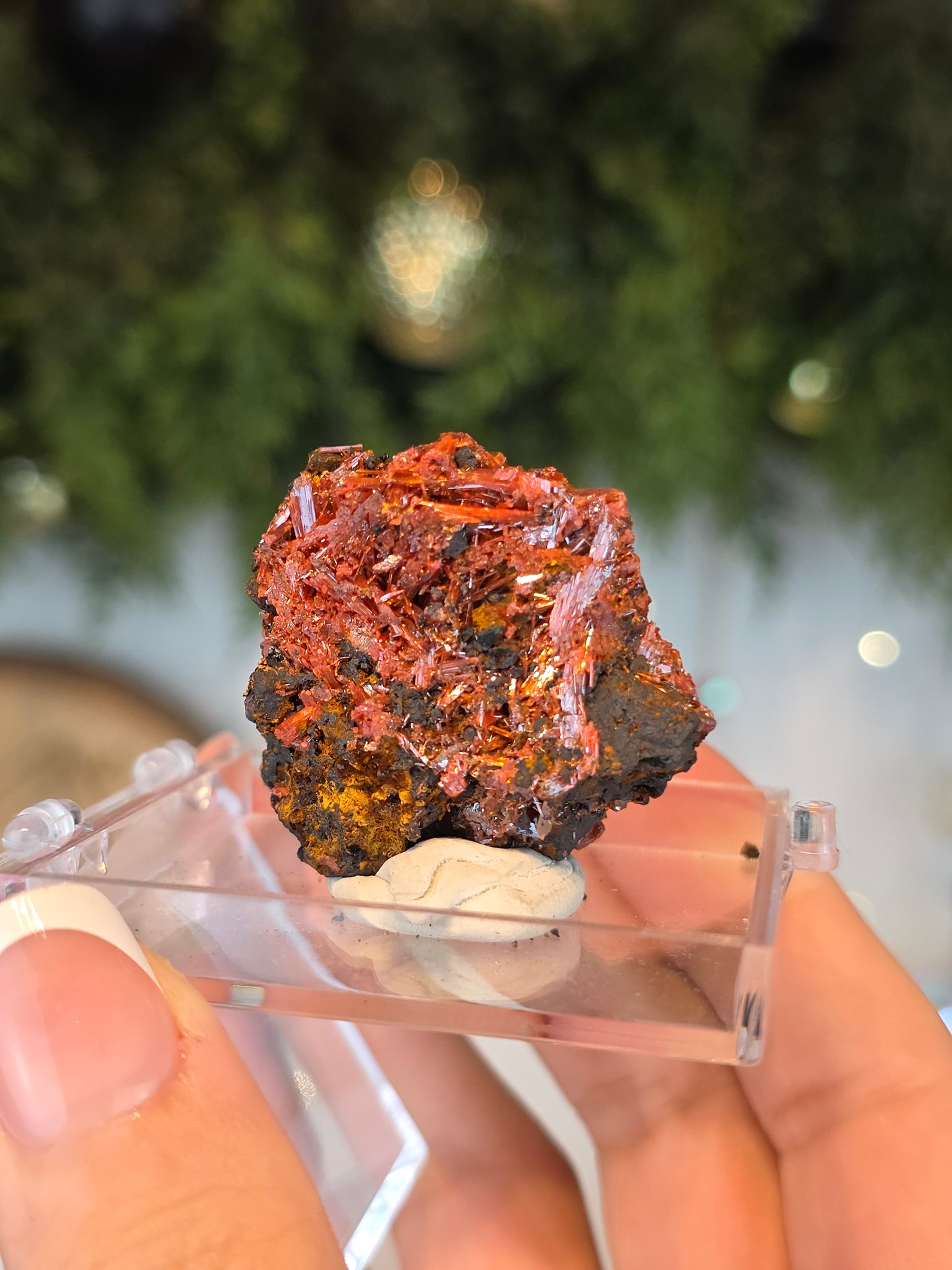 Crocoite from Australia - MAS6084