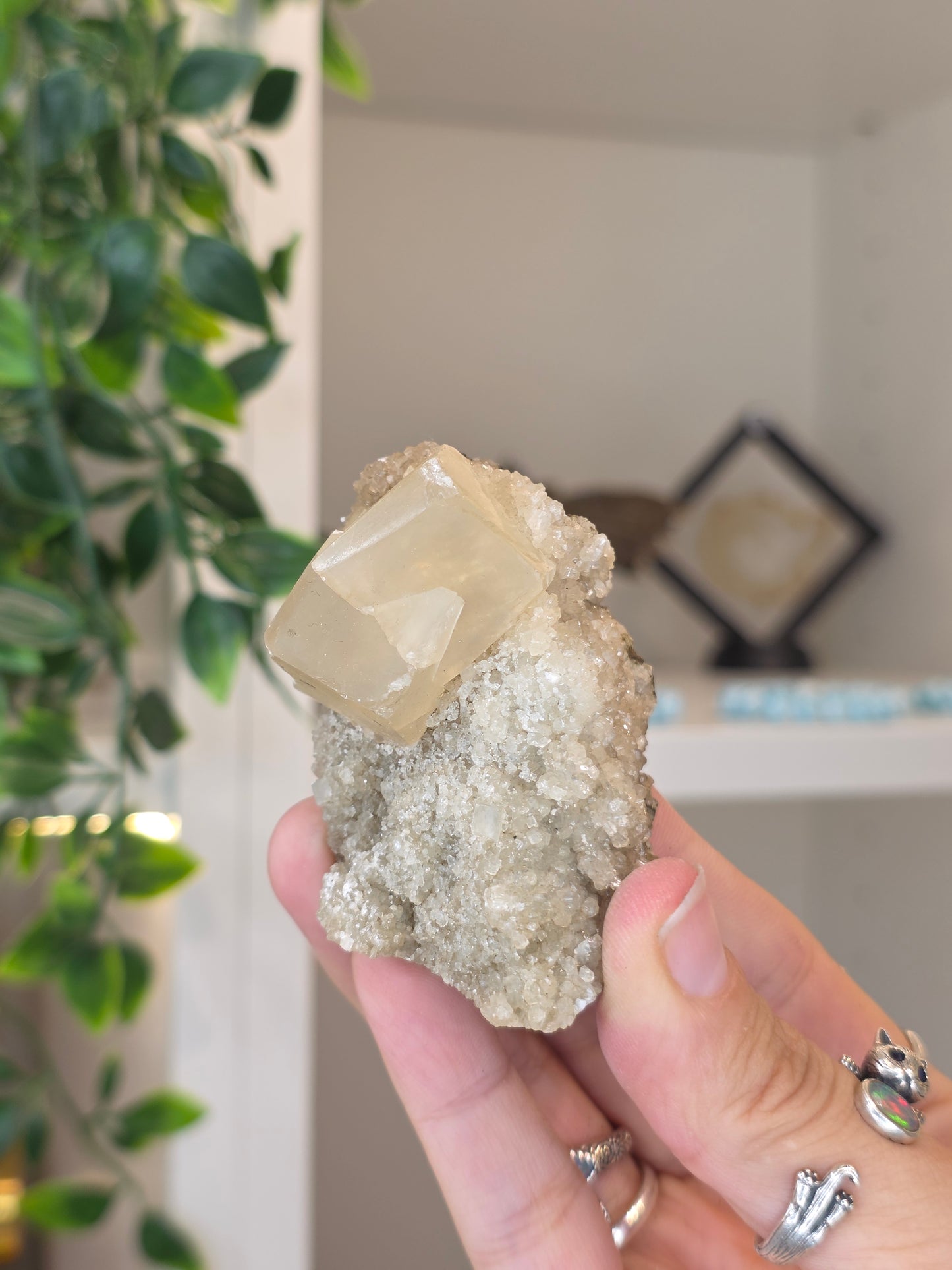 Honey Calcite Cubes on Druzy Sugar Calcite and Stilbite Matrix from Madhya Pradesh, India - H