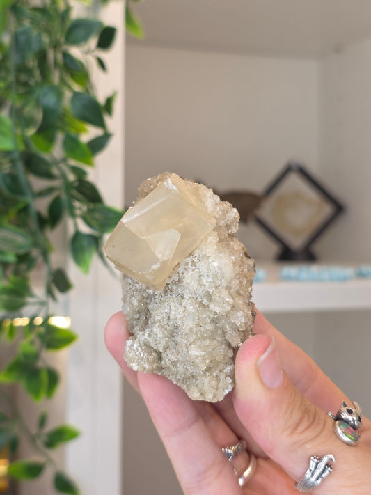Honey Calcite Cubes on Druzy Sugar Calcite and Stilbite Matrix from Madhya Pradesh, India - H