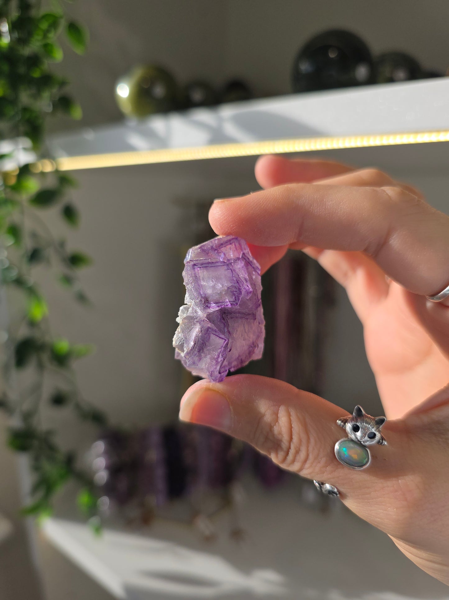 Purple Window Fluorite from Weishan, Yunnan Province, China D