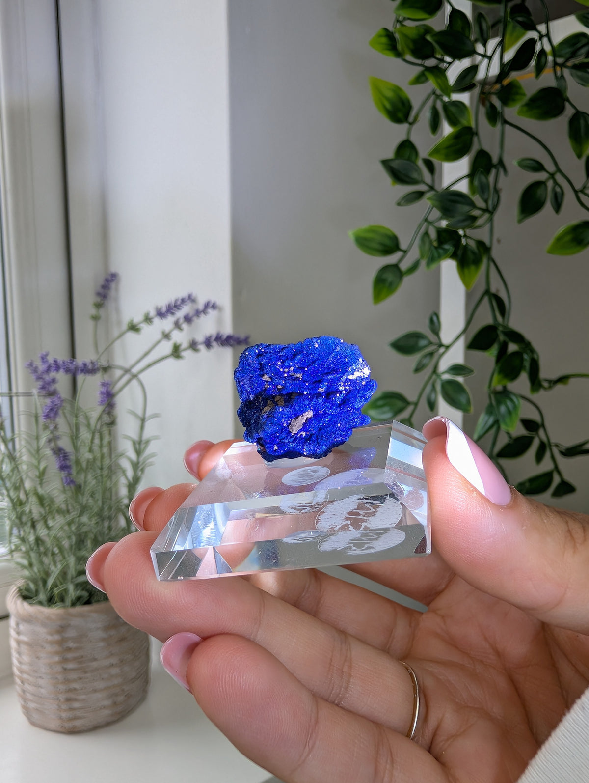 Azurite Rosettes from Morocco