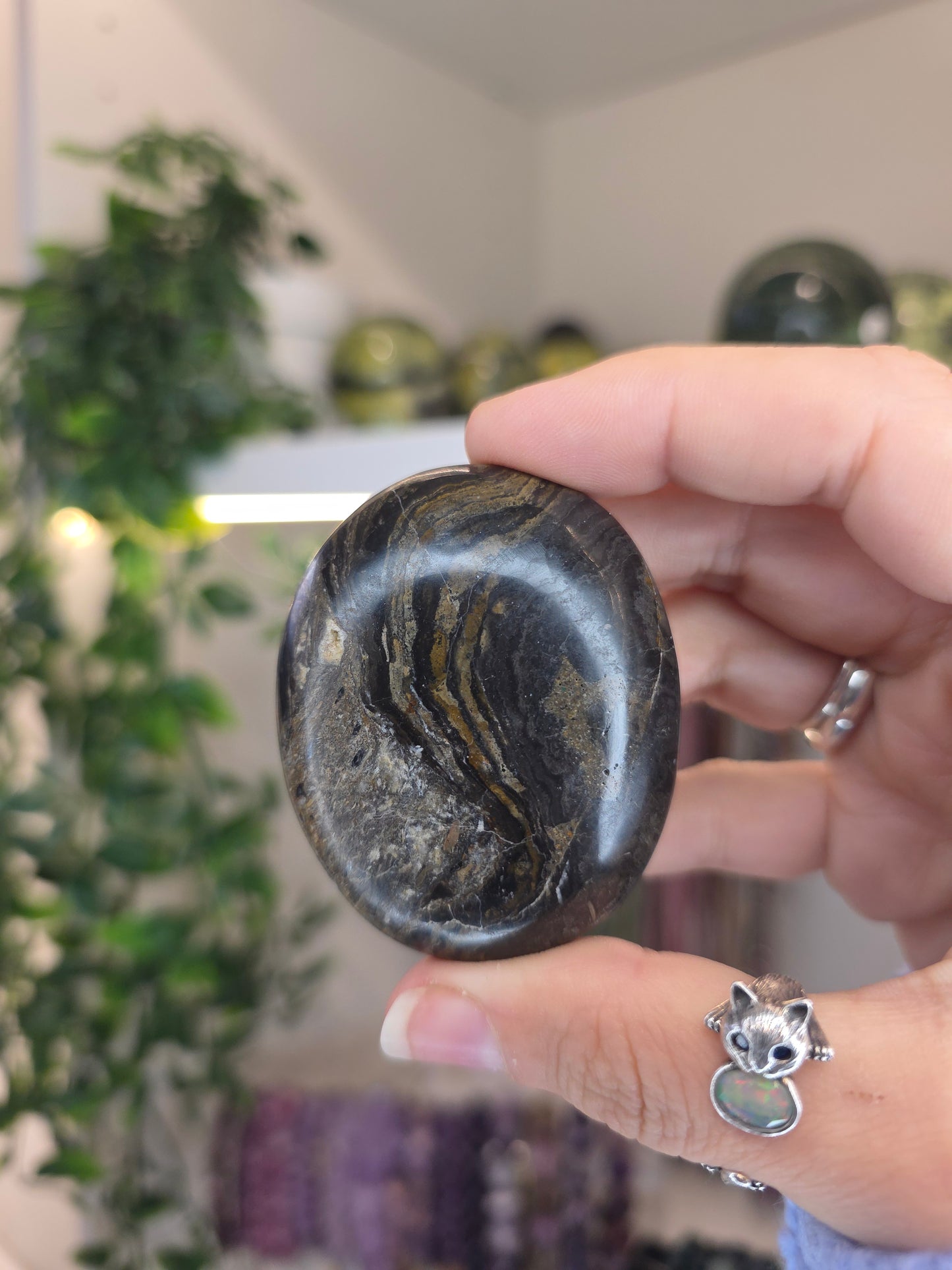Peruvian Stromatolite Palms