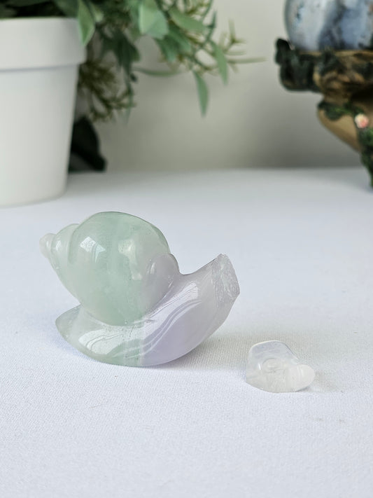 Imperfect: Lavender Fluorite Snail (broken head, missing ear) - MAS0810