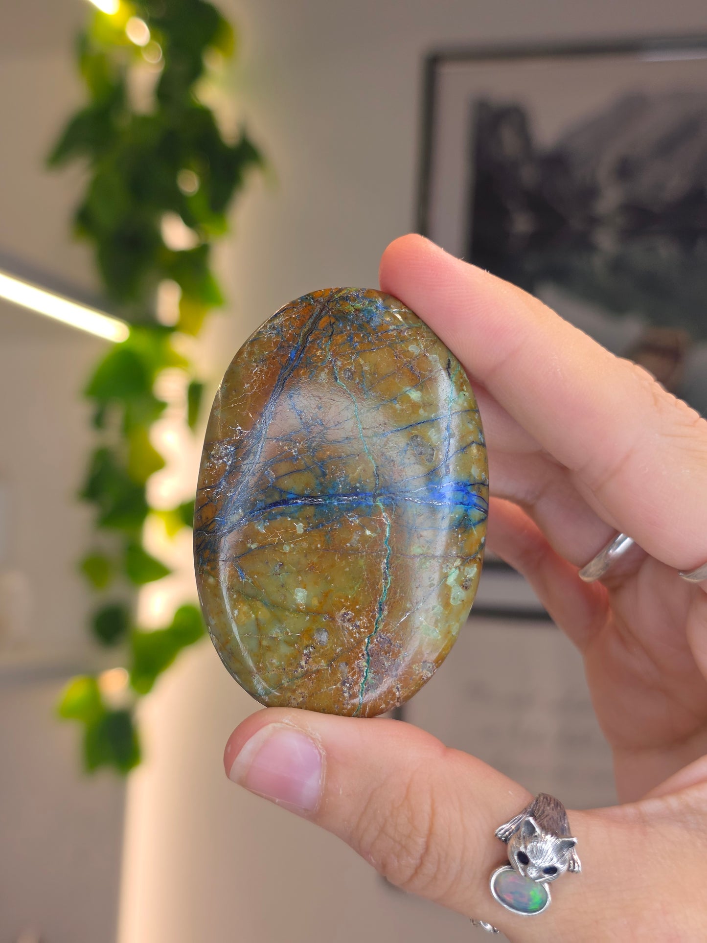 Rare Azurite in Yellow Quartz Palm Stones