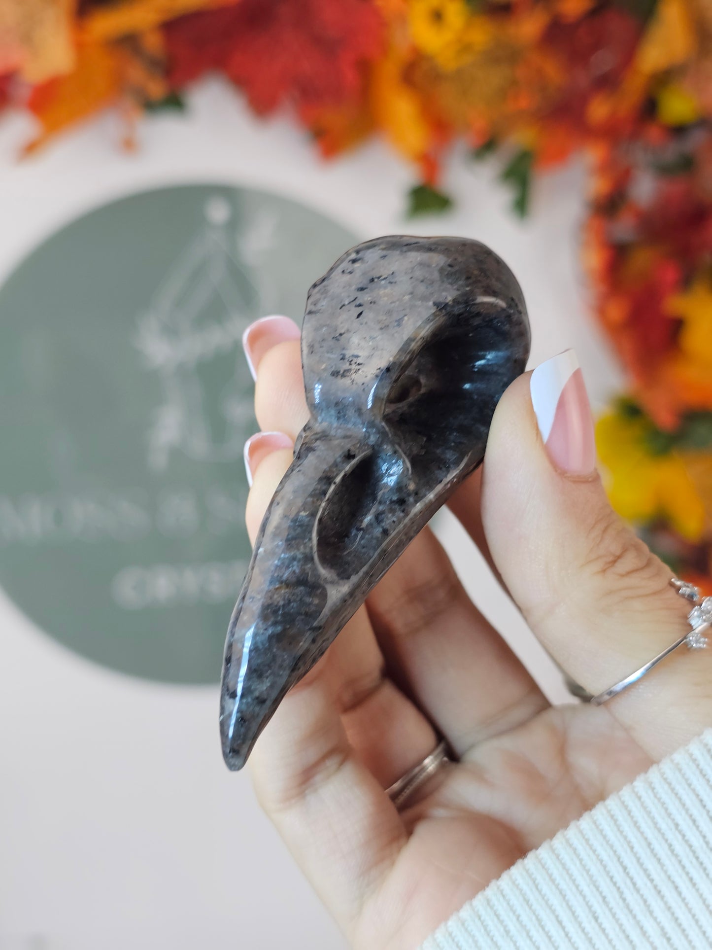 Yooperlite Raven Skull - MAS1923