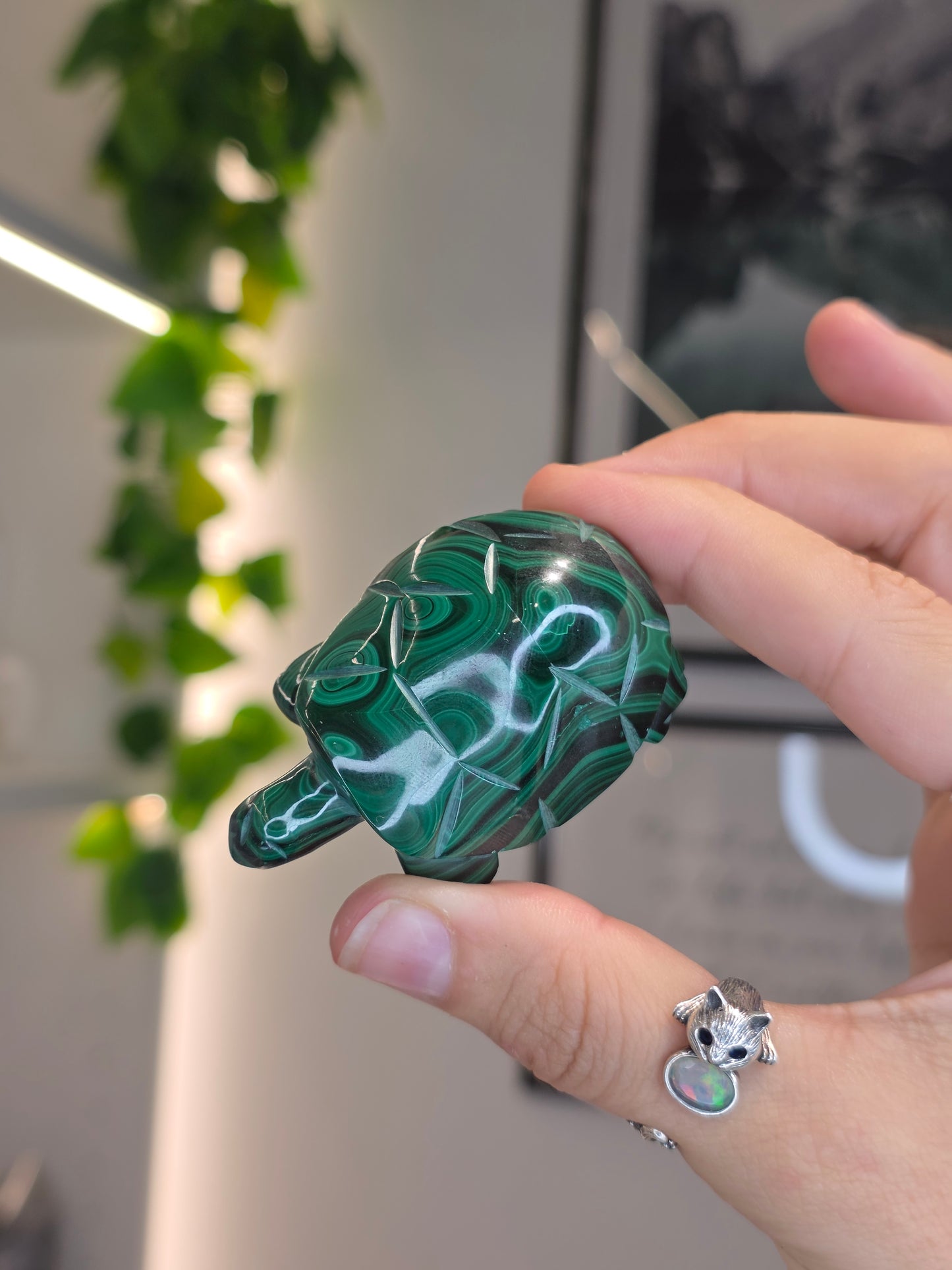 Malachite Turtle Carving - C