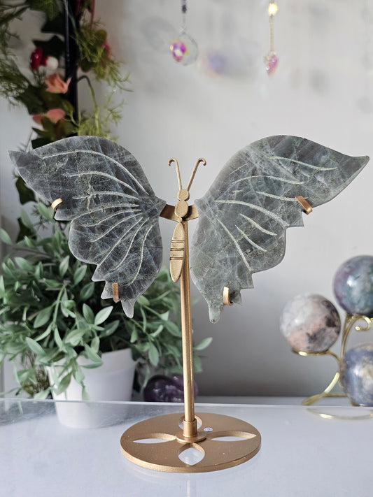 Labradorite Butterfly Wings on Custom Stand - MAS0827