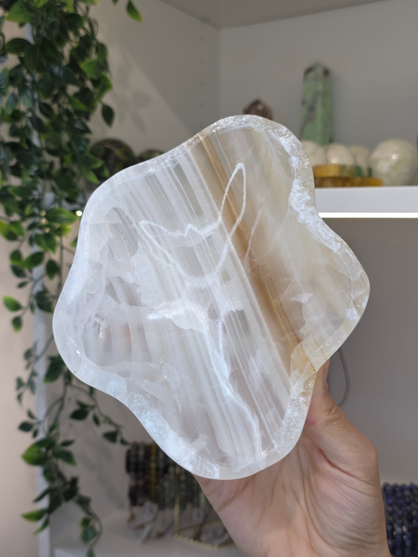 Mexican Onyx Freeform Bowl - Honey Calcite - D
