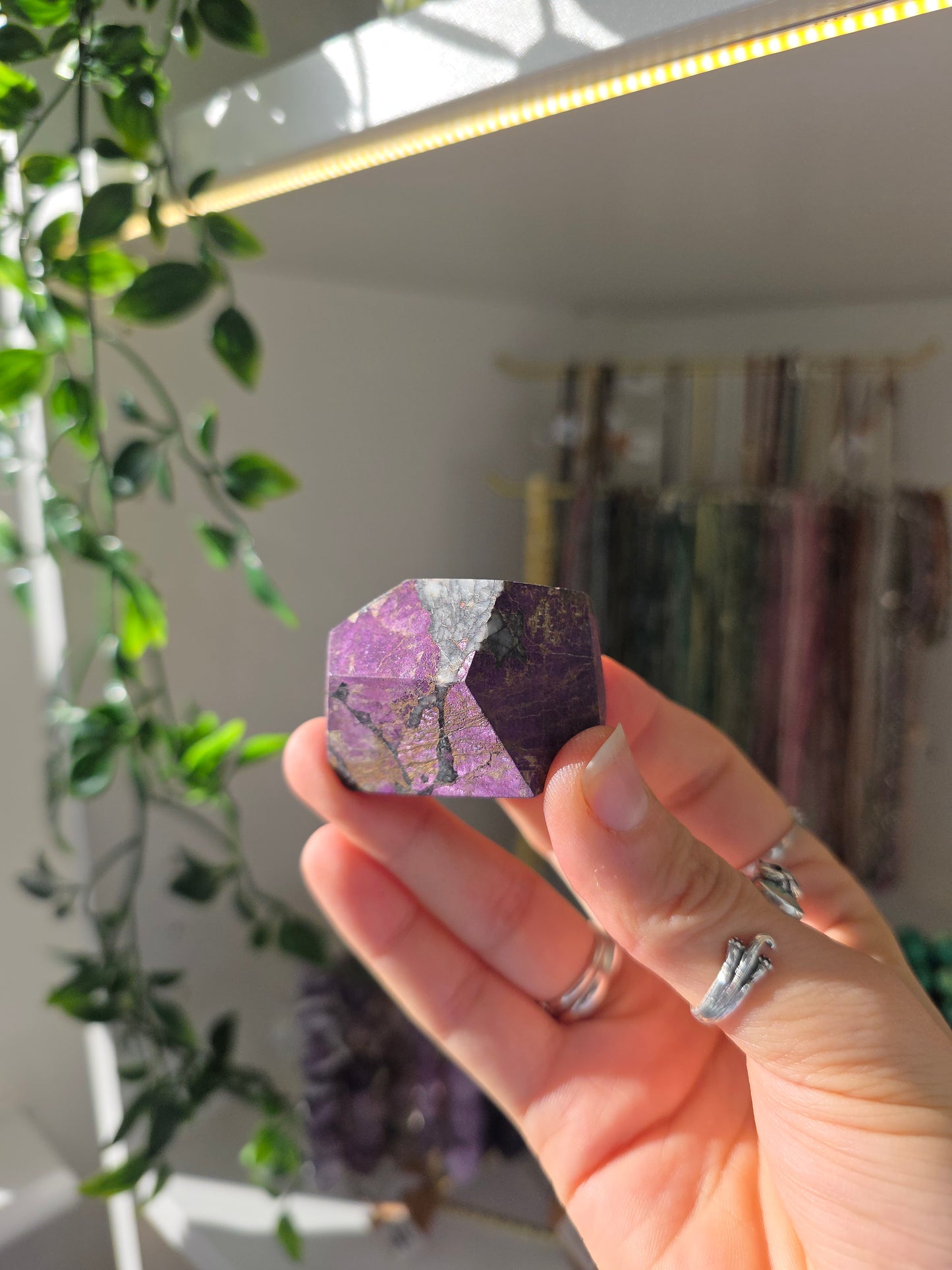 Velvet Purpurite Freeforms