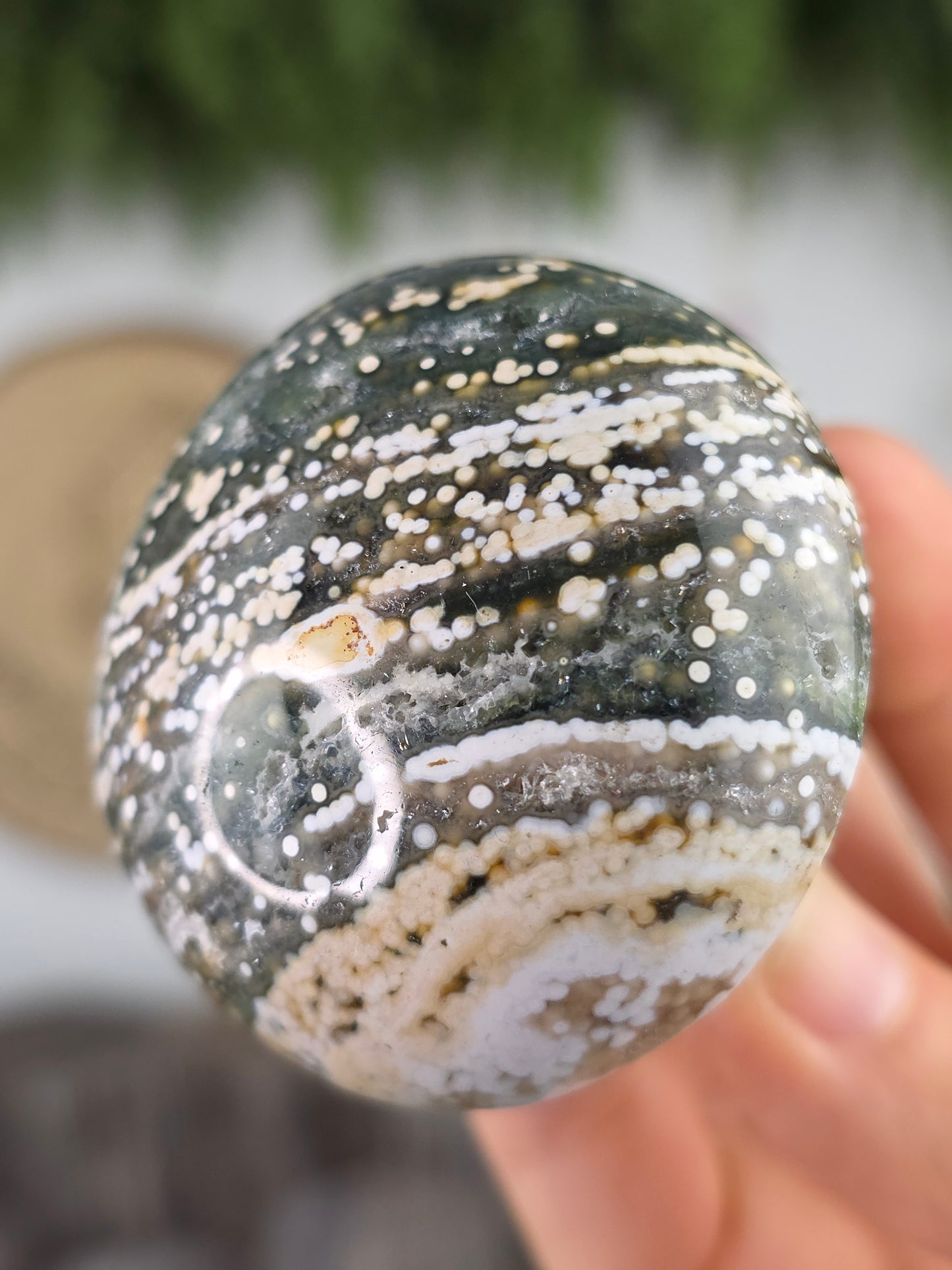 8th Vein Ocean Jasper Mushroom A
