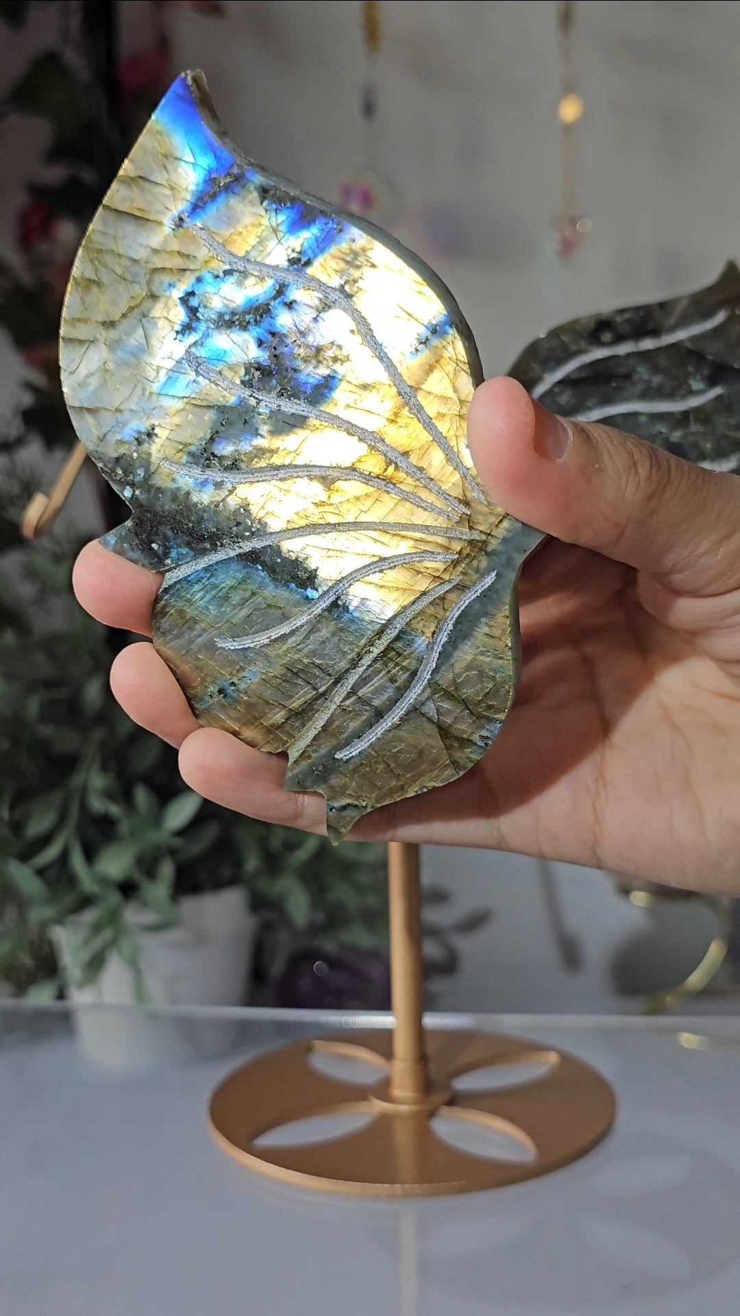 Labradorite Butterfly Wings on Custom Stand - MAS0825
