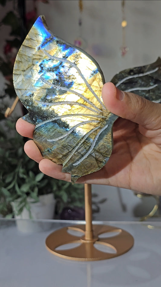 Labradorite Butterfly Wings on Custom Stand - MAS0825