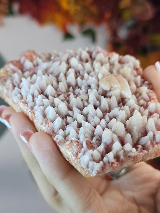 Pink Wolf Tooth Calcite B from Guizhou Province, China - MAS2423