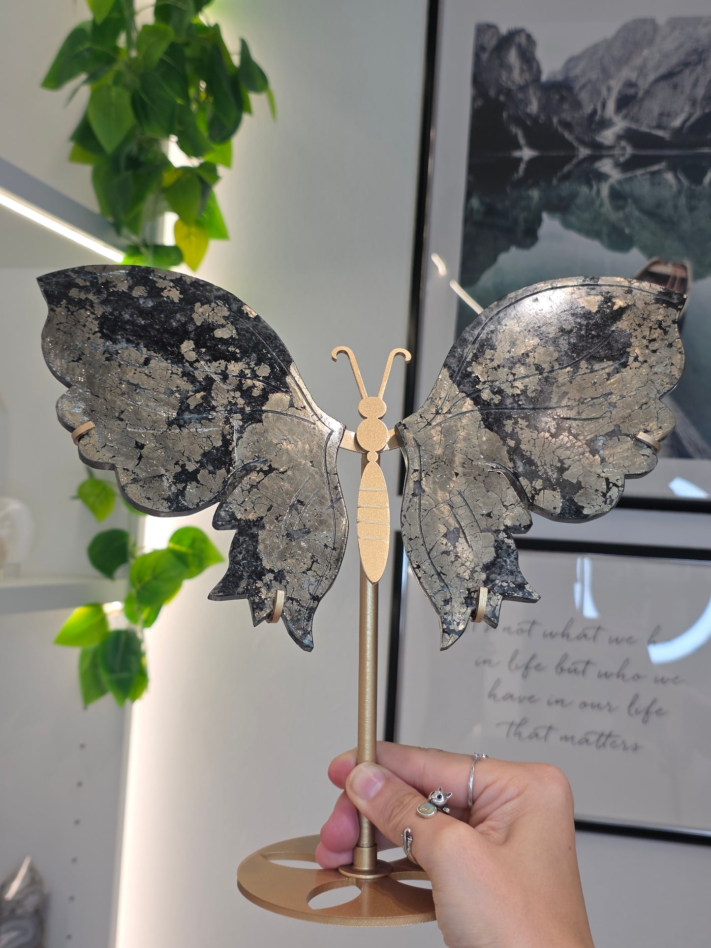 Pyrite Butterfly Wings on Custom Stand - A