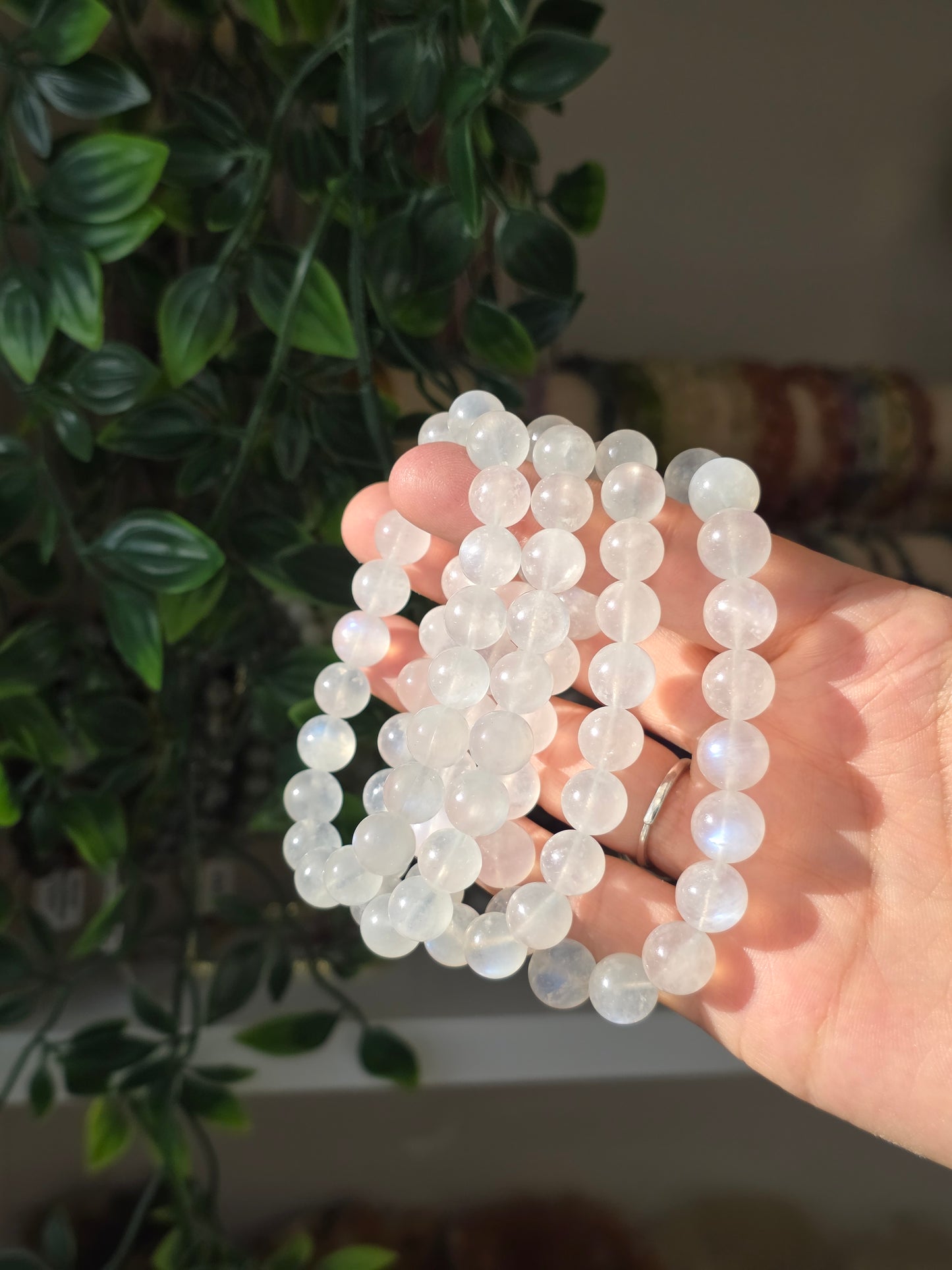 Sri Lankan White Moonstone - Round Bead Bracelet 10mm