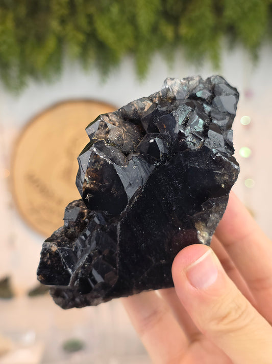 Black Skeletal Quartz from Mozambique