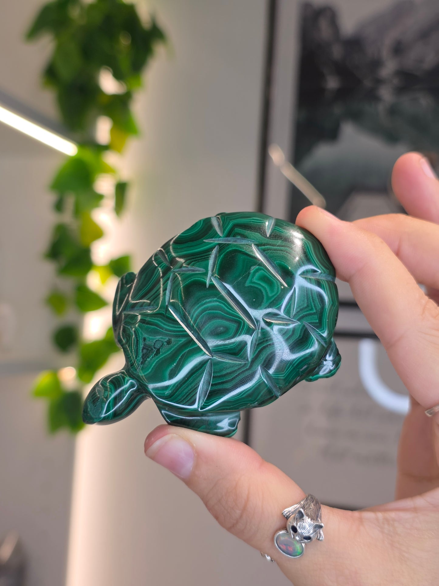 Malachite Turtle Carving - I