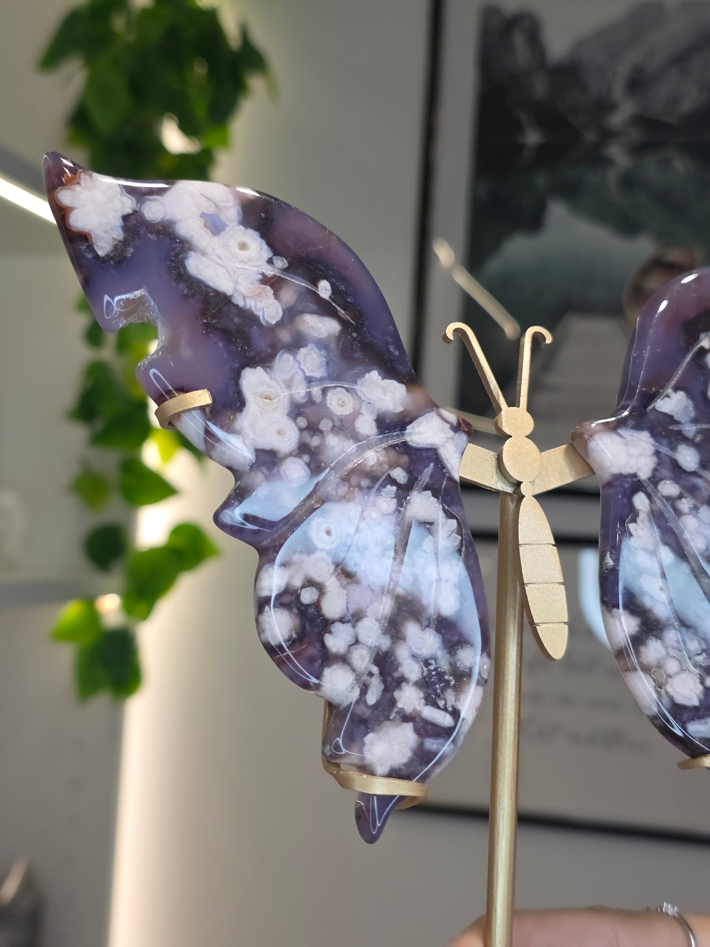 Blue Flower Agate Butterfly Wings on Custom Stand - A