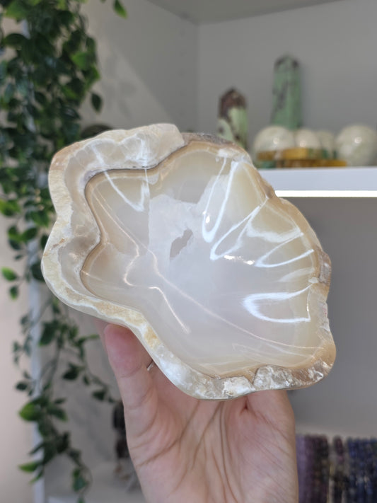 Mexican Onyx Freeform Bowl - Honey Calcite - E