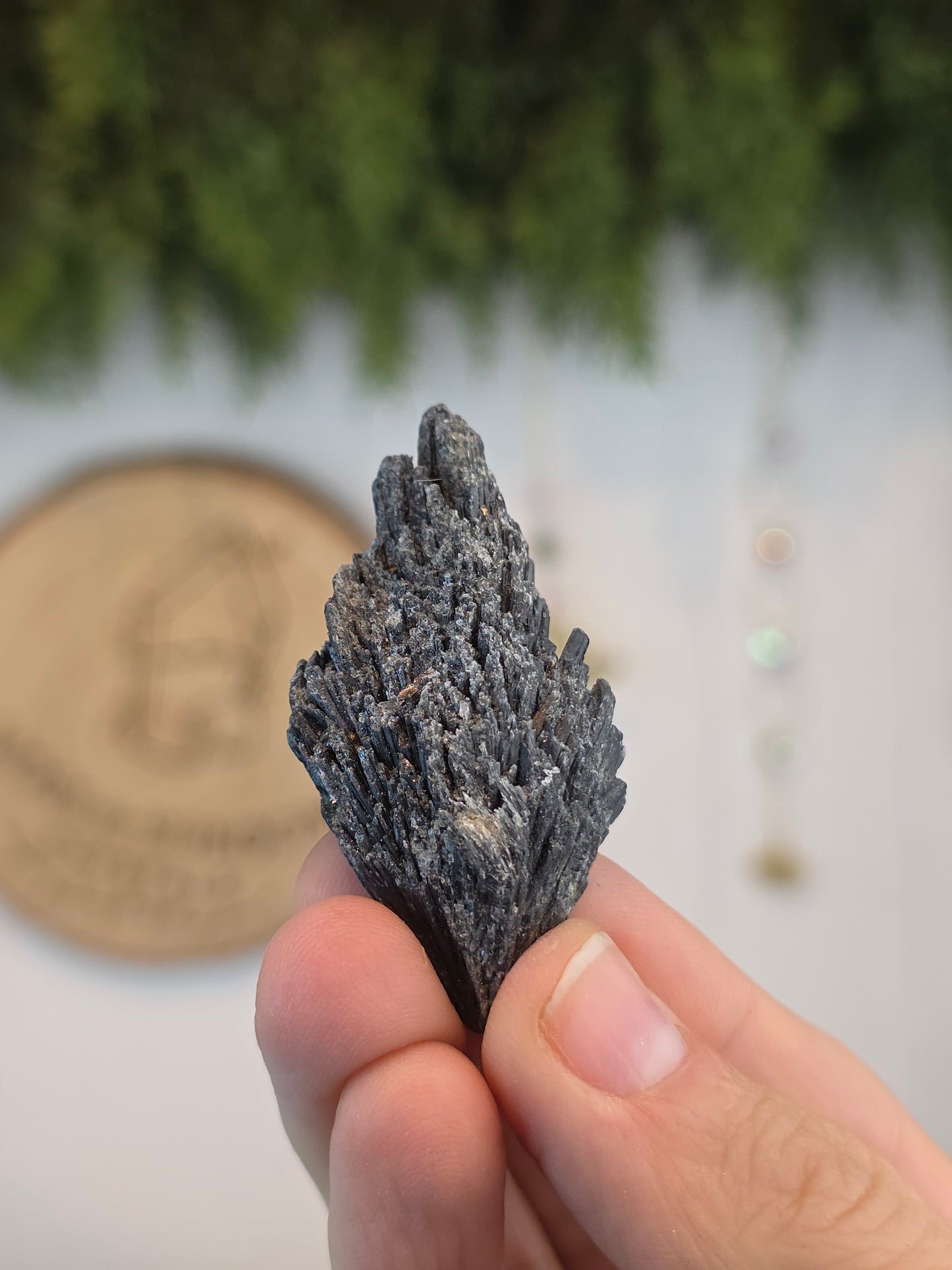 Brazilian Black Kyanite