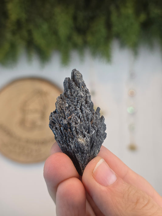 Brazilian Black Kyanite