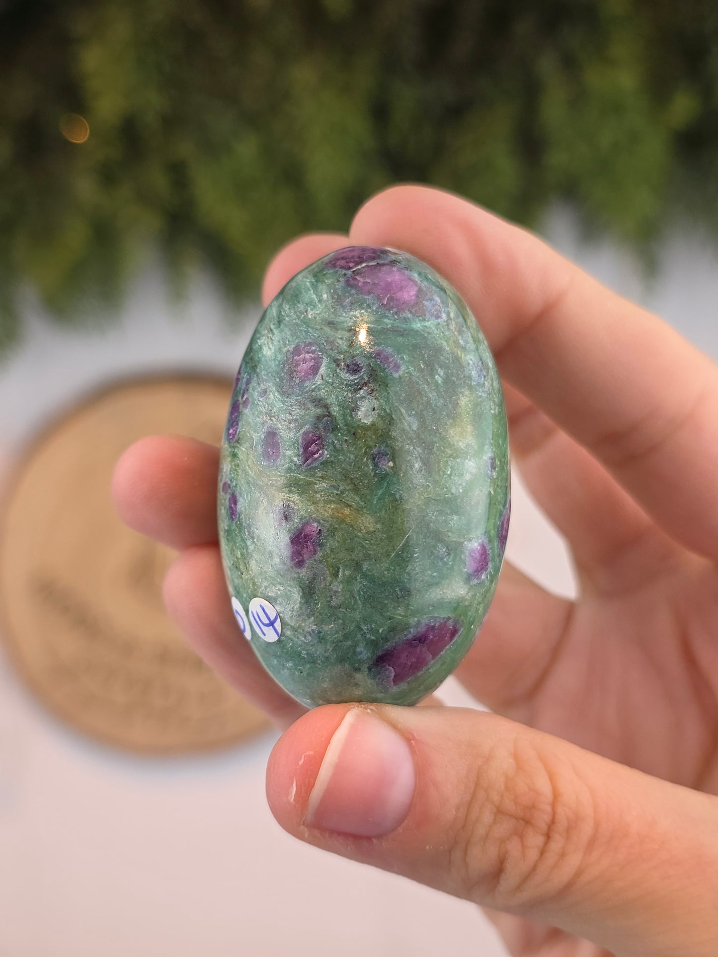 Ruby Fuchsite Shivas