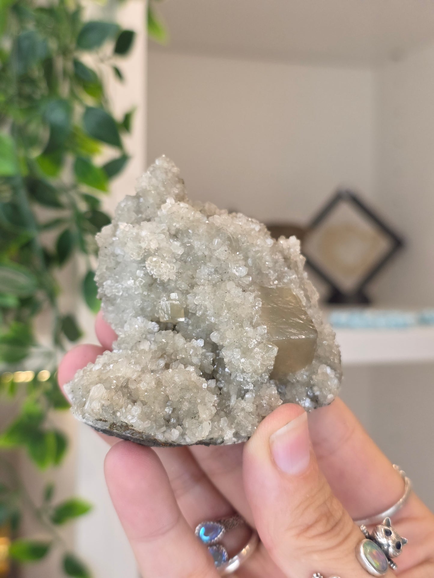 Honey Calcite Cubes on Druzy Sugar Calcite and Stilbite Matrix from Madhya Pradesh, India - L