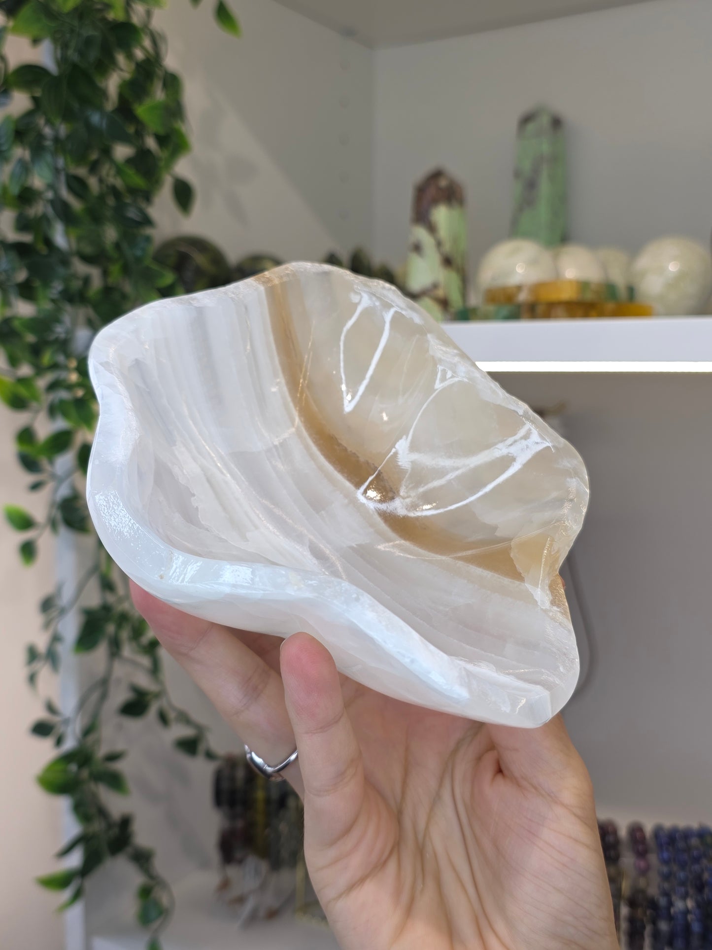 Mexican Onyx Freeform Bowl - Honey Calcite - D