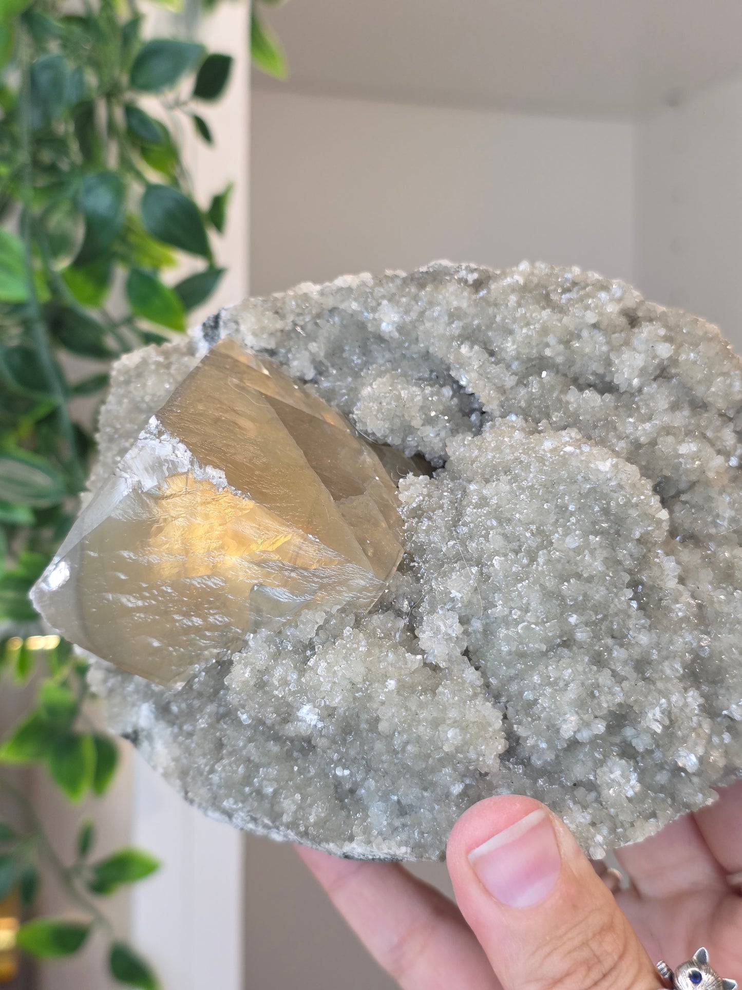 Honey Calcite Cubes on Druzy Sugar Calcite and Stilbite Matrix from Madhya Pradesh, India - AJ