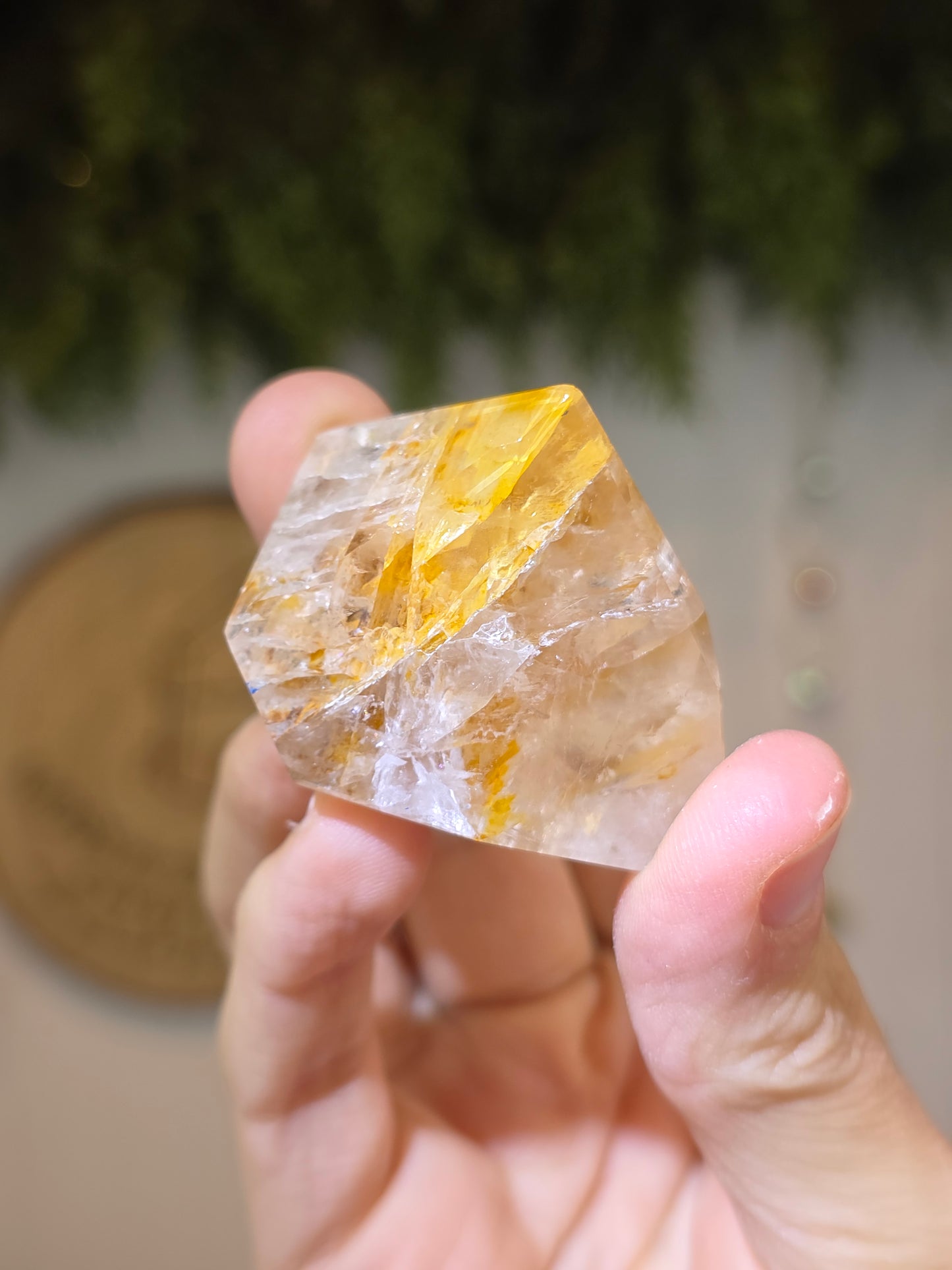 Rose Quartz with Golden Healer Freeform F