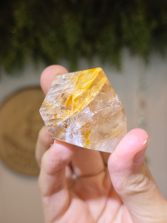 Rose Quartz with Golden Healer Freeform F