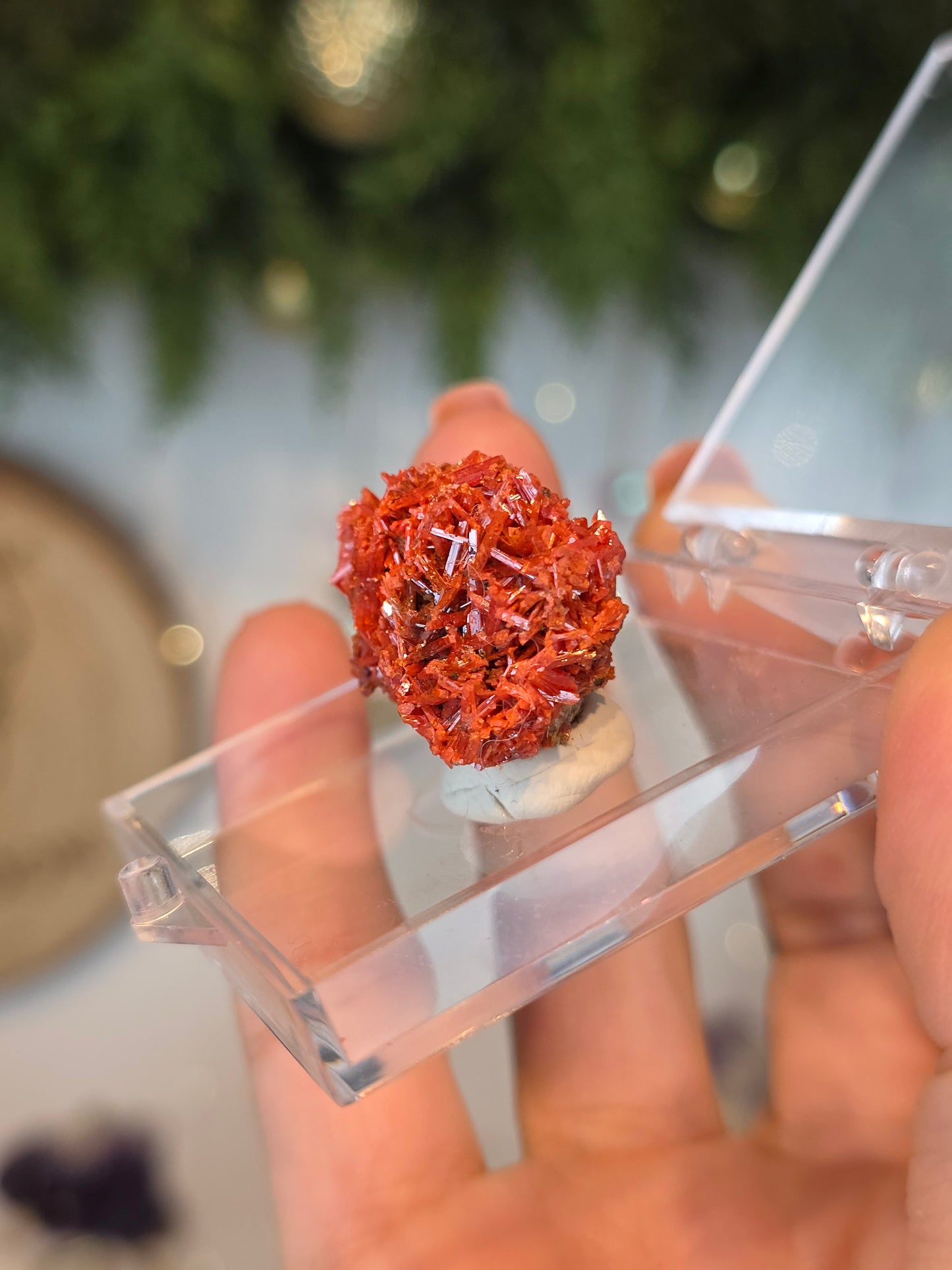Crocoite from Australia - MAS6085